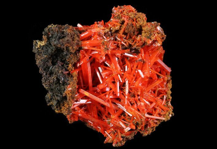 Bright Orange Crocoite Crystals - Tasmania #64348